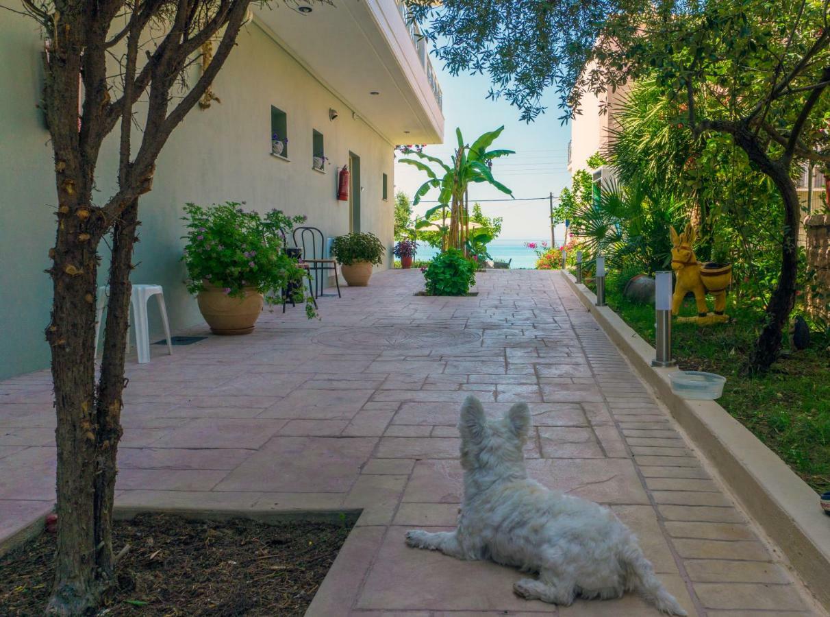 Studios Magda Paralia Vrachou Dış mekan fotoğraf